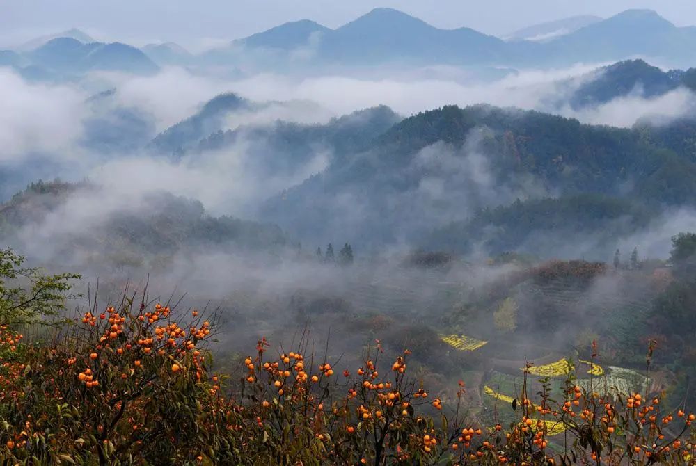 普通人如何才能发家致富,普通人如何成功致富