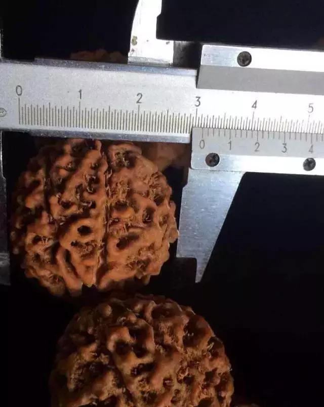 如何挑选一串好的小金刚菩提子,小金刚菩提最全纹路