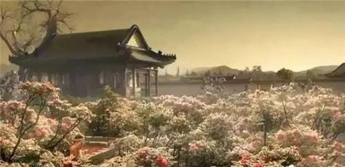 英国首次曝光圆明园被毁前照片,圆明园被毁前的200张照片