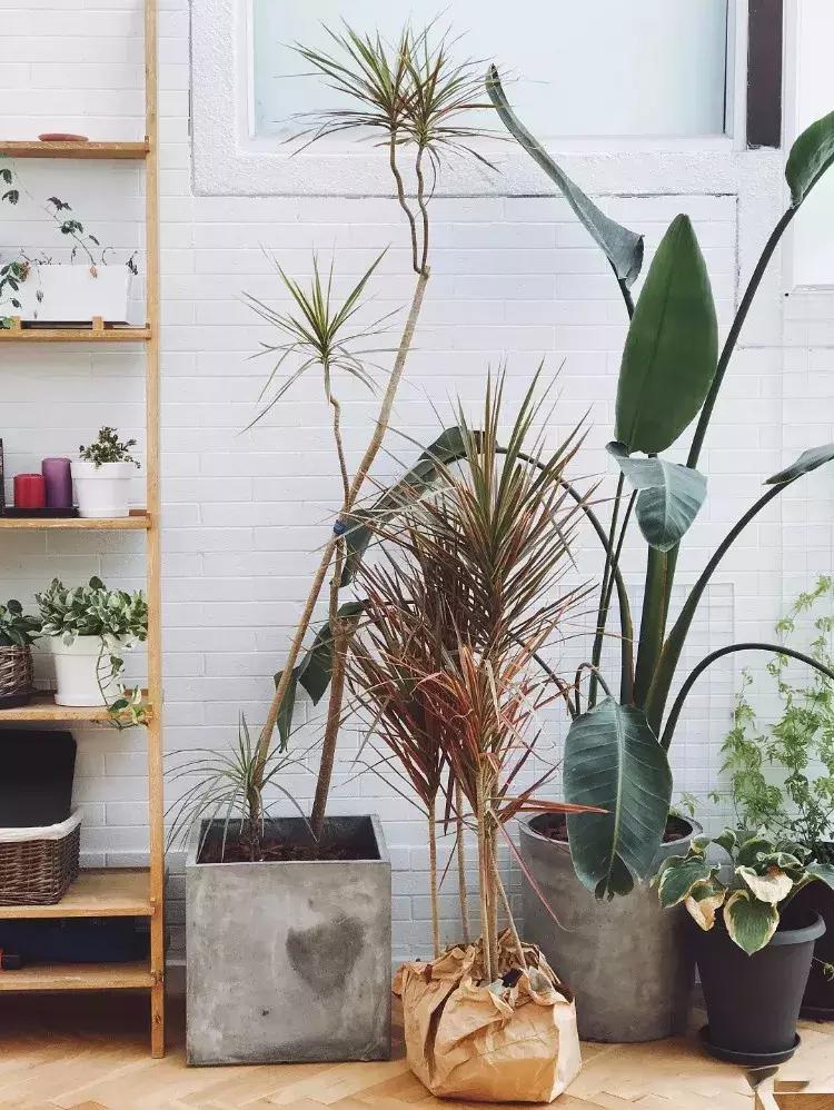 最有质感的家欢迎借鉴,打造浪漫有格调的家