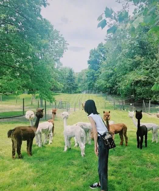 刘雯大包包推荐,刘雯同款豹纹包包