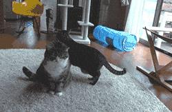 山海经中以乳为目以脐为口的怪物,山海经搞笑图片