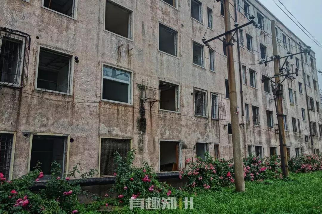 活在郑州|租不出去的房子,安放不下的青春