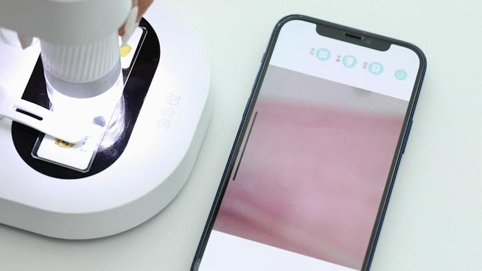 暑假孩子玩手机不如打篮球吧,儿童显微镜放大蚂蚁120倍