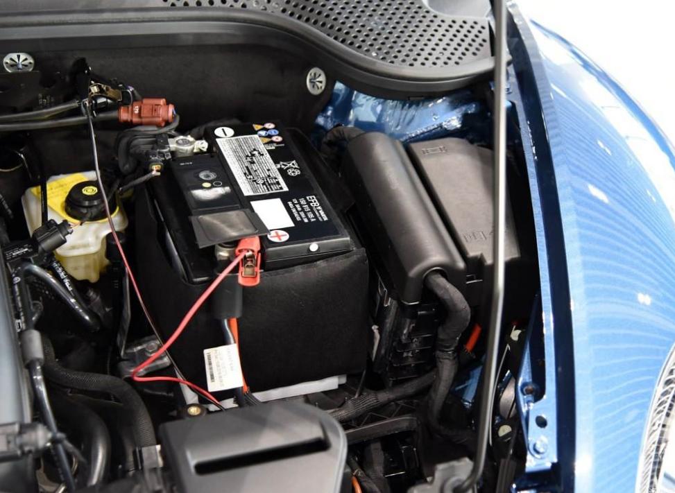 真正的大众甲壳虫,大众甲壳虫网红车