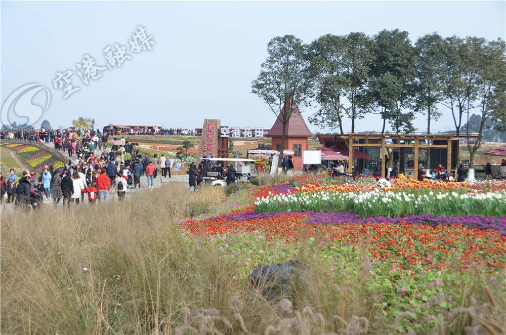 成都双流最新新闻,未来的双流会变成什么样子