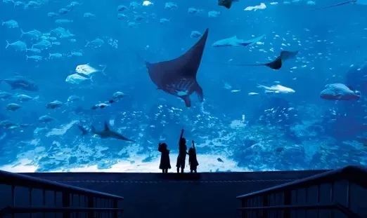 海外游学旅行推荐,游学旅行地点