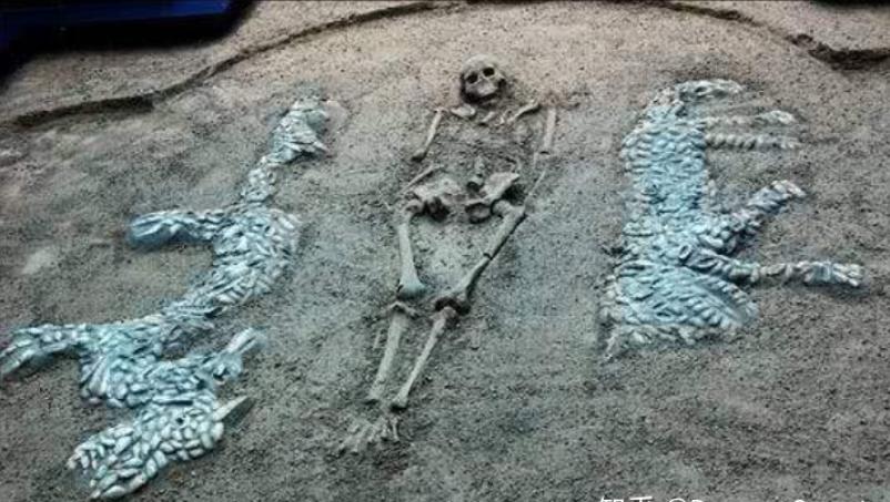 中国龙和恐龙一样吗,中国传说中的龙是不是跟恐龙有关