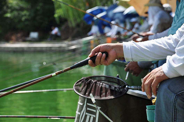 钓鱼人小马哥饵料,钓鱼民间高手专用饵料