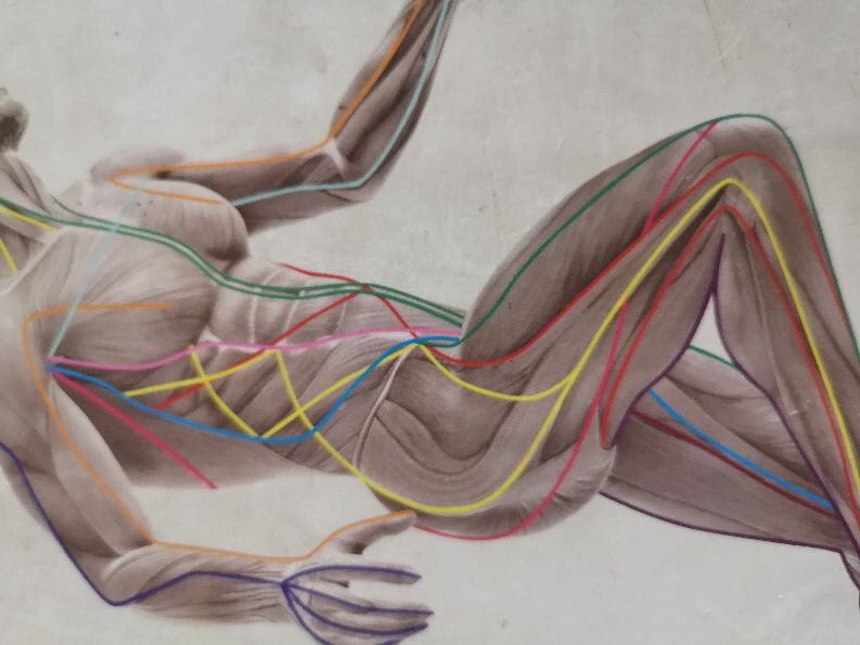 抻腿内侧的筋有什么好处,松解肌筋膜的正骨方法