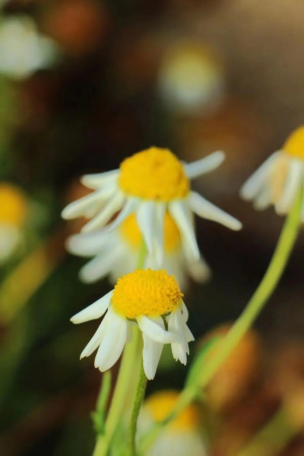 晒黑晒伤不要慌,快准狠修复晒后“关公脸”