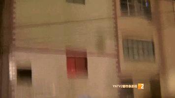 夺命玩具,夺命网红玩具