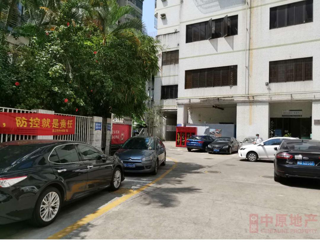 深圳荔香中学楼盘,深圳南山荔香中学