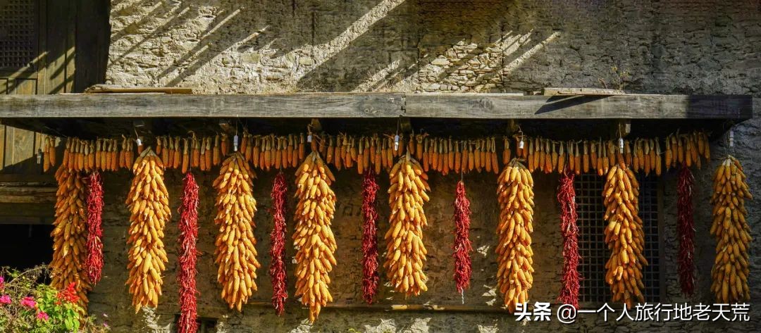 忽然想去自驾游了,想去川西看星空