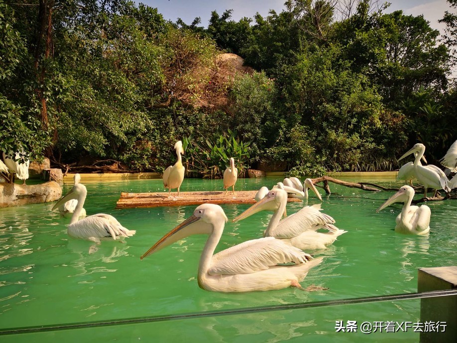 说走就走的旅行攻略省钱一天,说走就走的旅行攻略大全