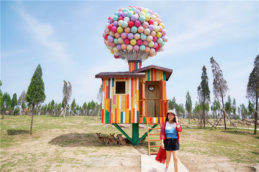 初夏河南,找寻童心,邂逅伏羲山的斜阳,一颗心萌化在云上牧场