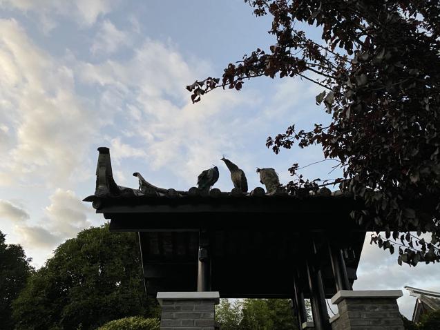 丽江束河看玉龙雪山的最佳酒店,丽江束河住宿推荐