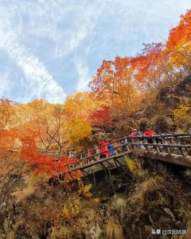 这份攻略带你走进最佳赏枫地,四大赏枫胜地你最想打卡哪个