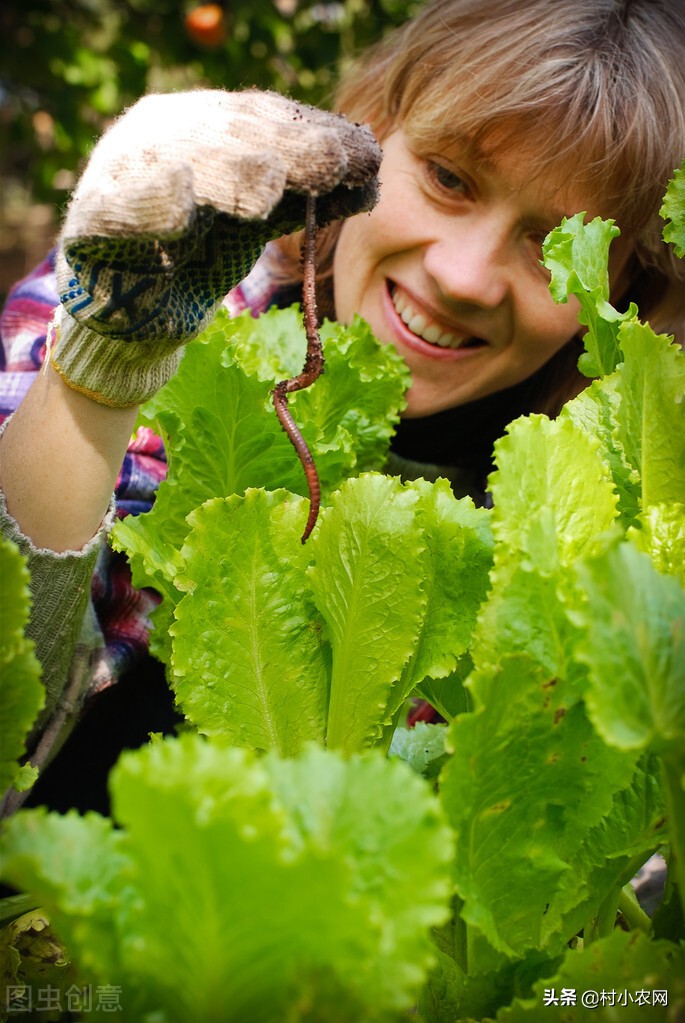 在农村创业九大赚钱项目,如果在农村创业适合做什么项目