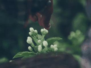 体香怎么来的男生,体香怎么弄身上才有香味