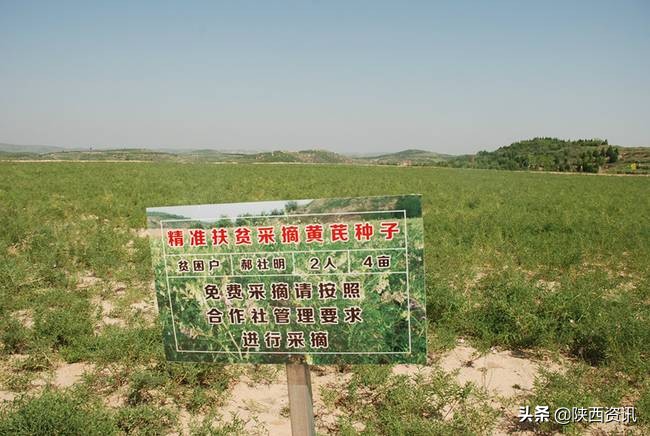 陕西榆林广济堂,榆林广济堂医药科技有限责任公司