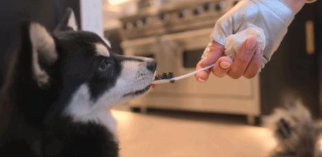 又开始炫富了？她的人生只剩下钱了