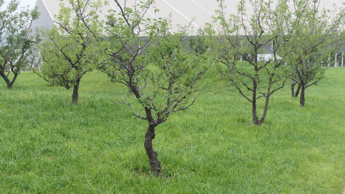 农业是个暴利行业,农业领域好吗