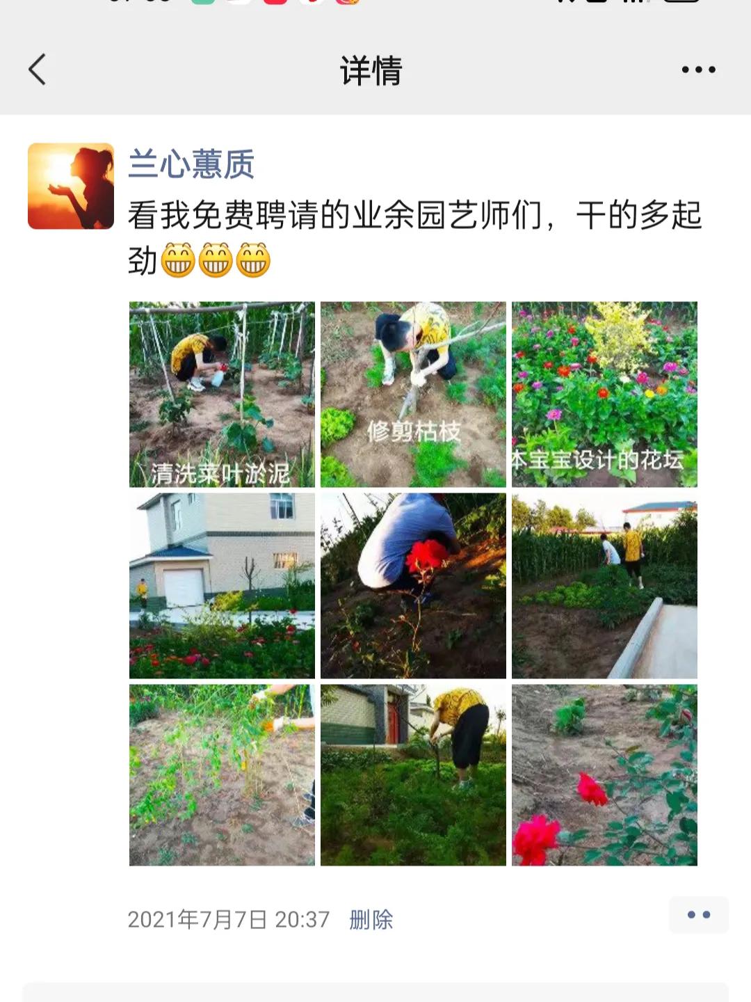 从田园博主走出国门到《向往的生活》,新农村生活究竟有多美?