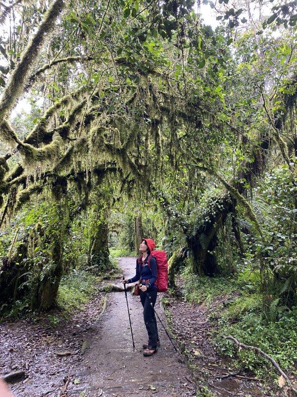登上非洲之巅乞力马扎罗山，瑞士Odlo奥递乐保暖内衣实测