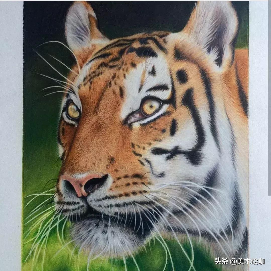 画的比照片还逼真,画的比照片还真实