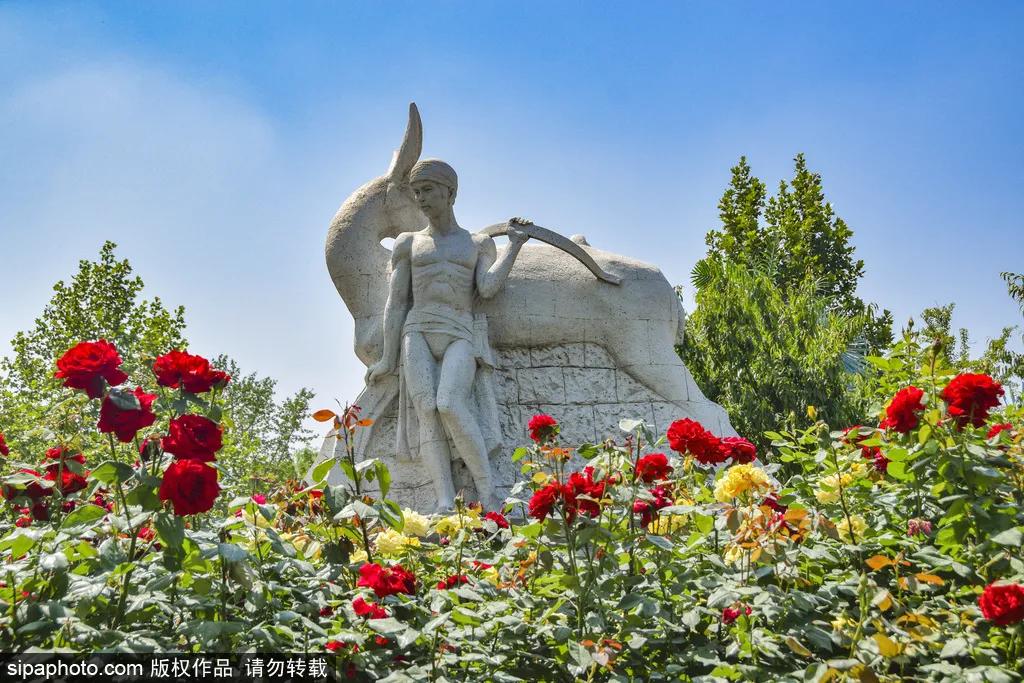 全球最美十大花海美到令人心醉,全球最漂亮花海