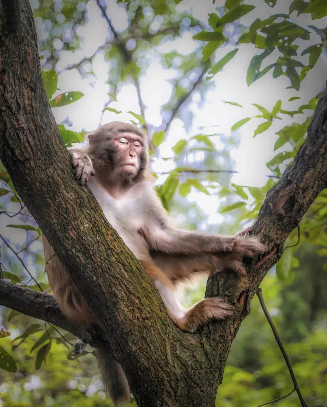 Chengduwow|借束光,请你免费去四川“小京都”泡私汤