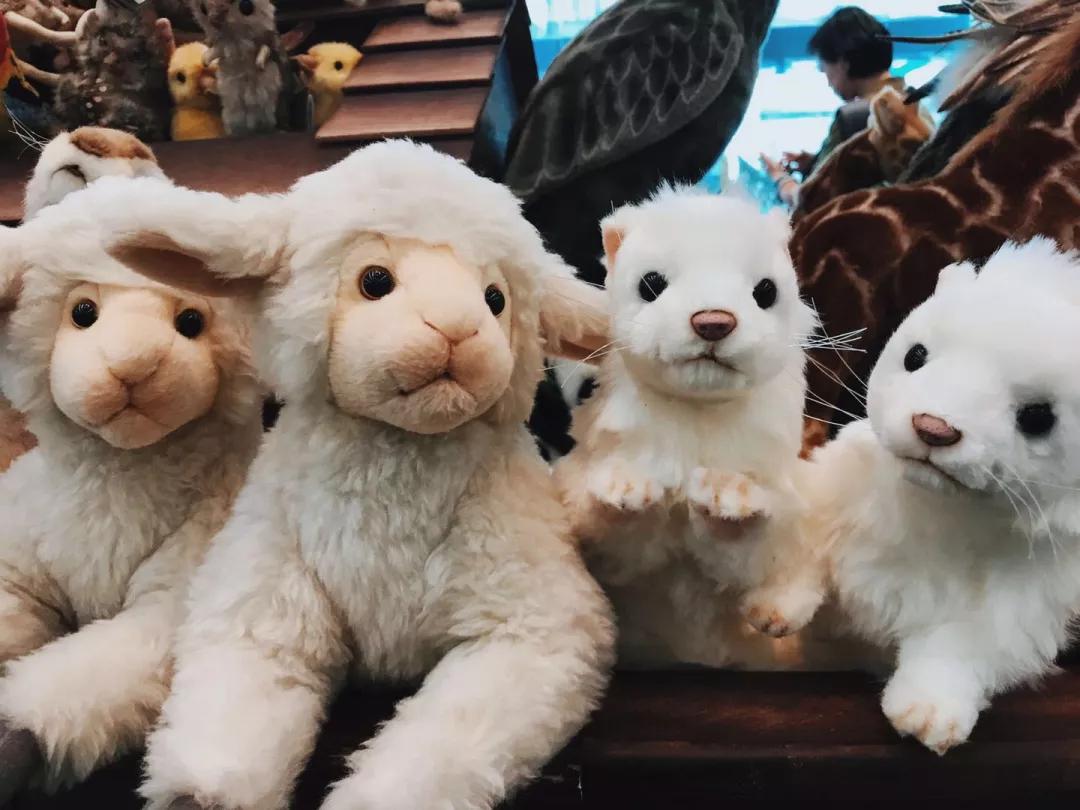 中国泰国风情景区,中国后花园泰国