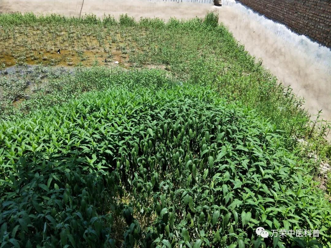 跟我回家在线免费看,跟我回家免费看