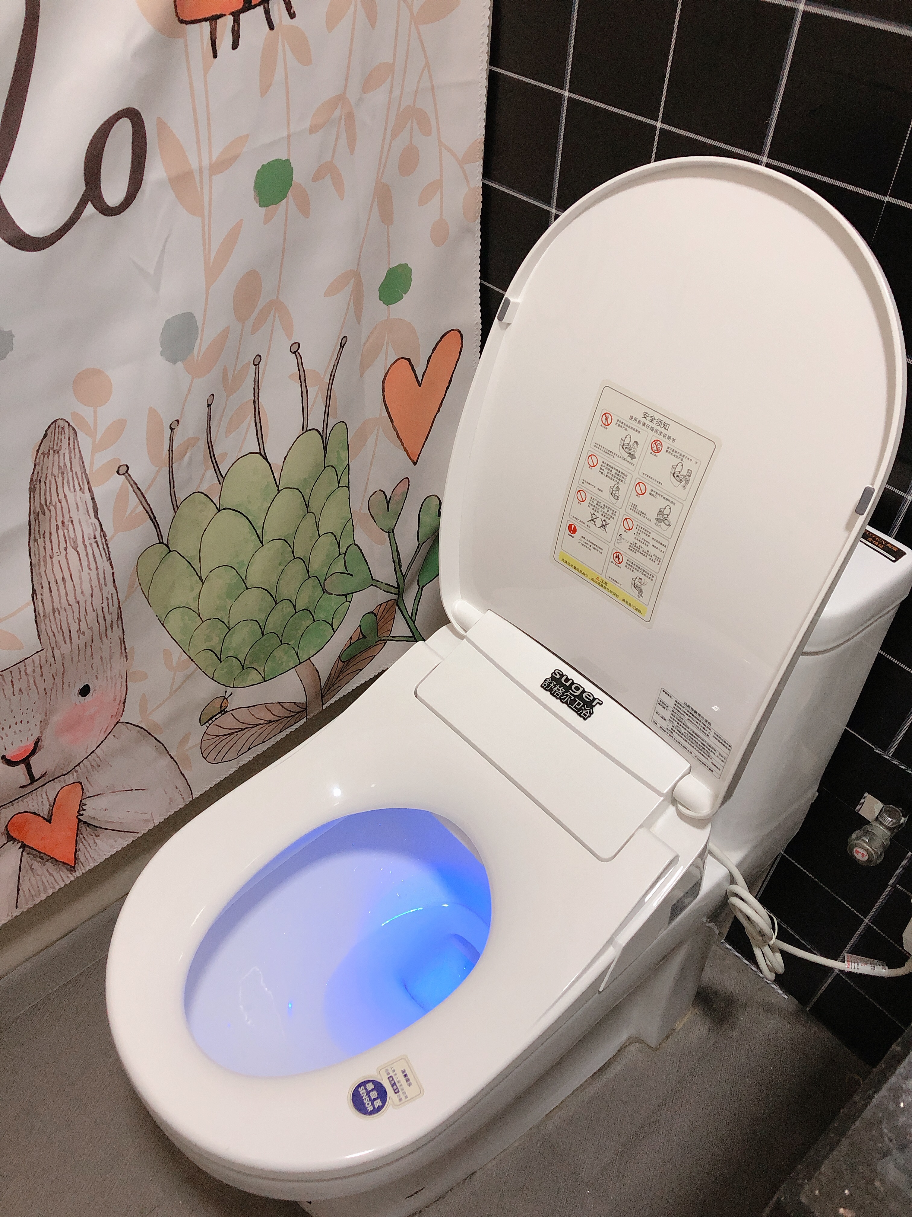 如何选择智能马桶盖,智能马桶盖要怎么选