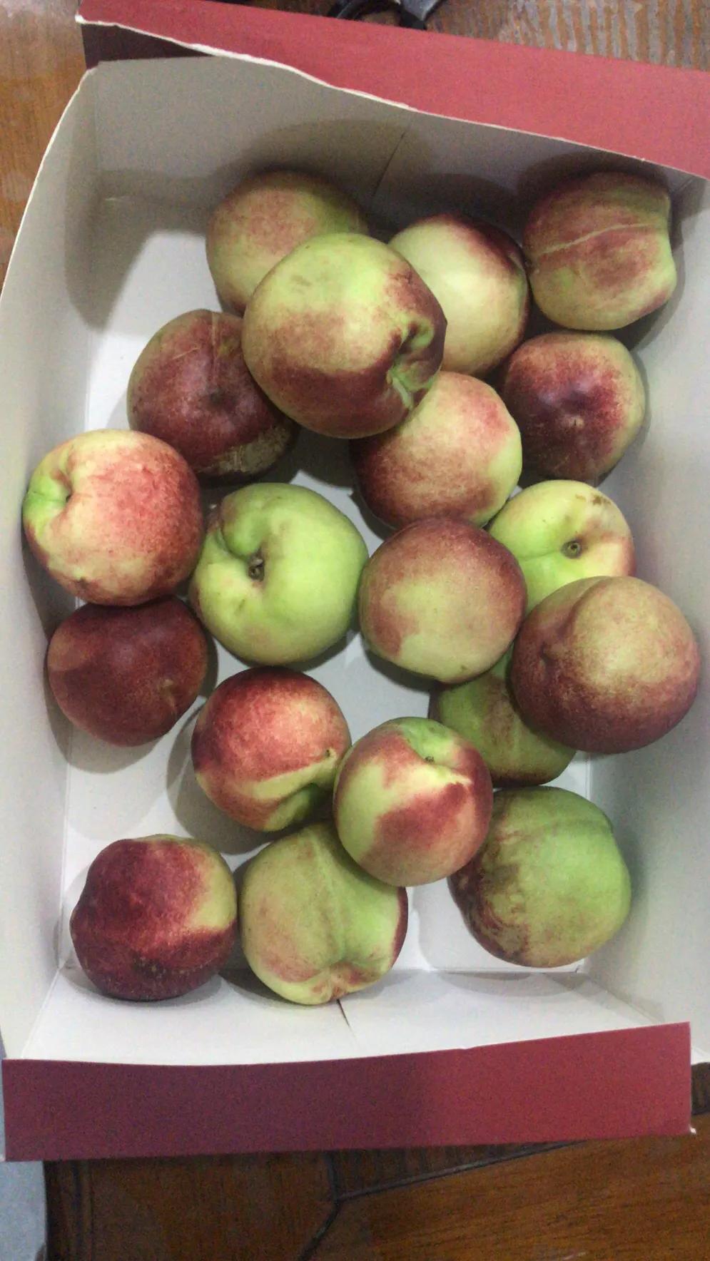 生鲜快递买家拒收后怎么处理,生鲜快递包装破损能否拒收