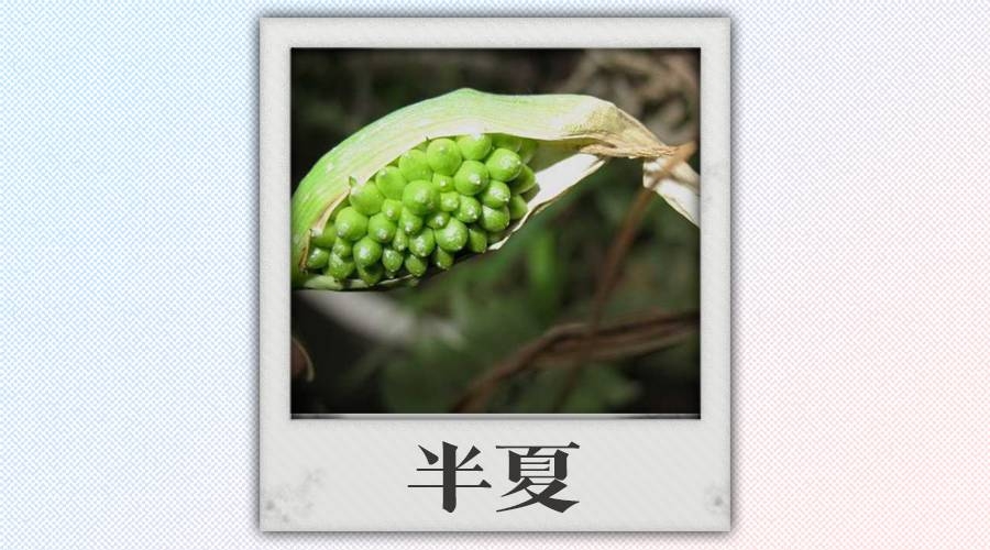 中医救人不救病怎么办呢,中医药救人