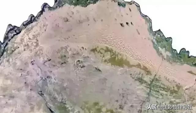 蚂蚁森林里为什么偷不到别人能量,蚂蚁森林西伯利亚狍会帮偷能量吗