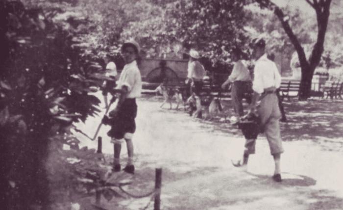 一头来自泰国的黑豹，让整个东京骚乱12个小时，日本人都不敢出门