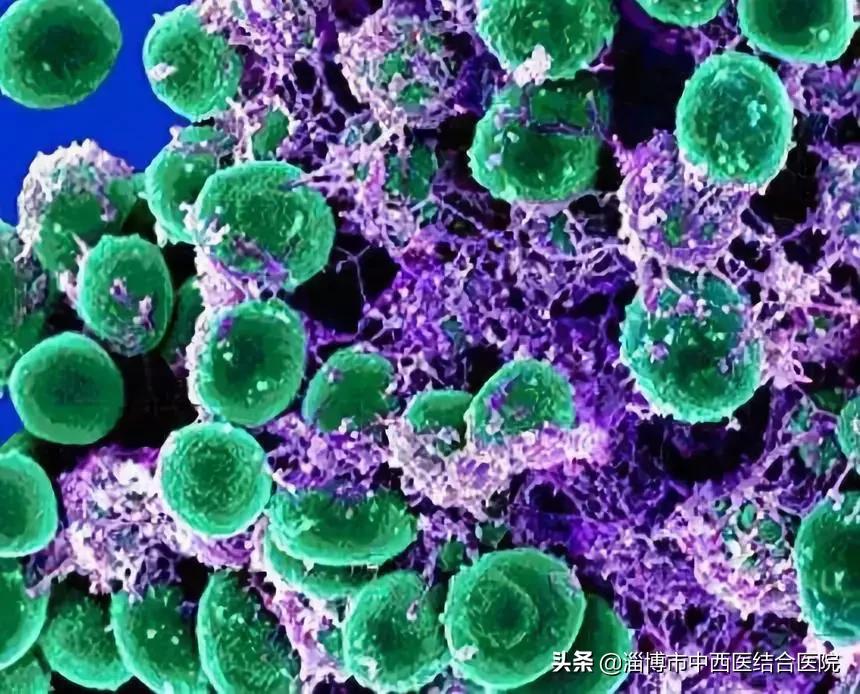 引起腹泻的原因科普,中西结合治疗功能性消化不良