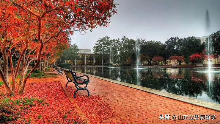 旧金山大学真实含金量,你知道澳洲国立大学这么牛吗