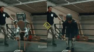 “请停止霸凌机器人”假视频揭秘，2019最强大机器人Top10在这里