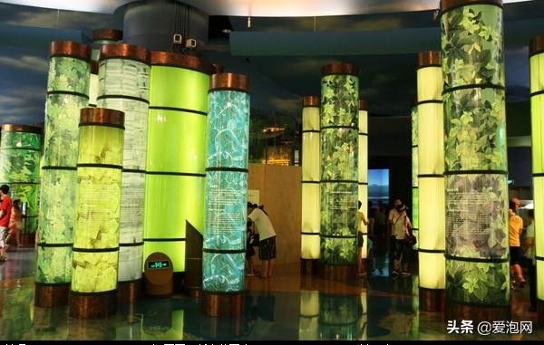 上海天文馆和科技馆哪个更值得去,上海自然博物馆和科技馆哪个好玩