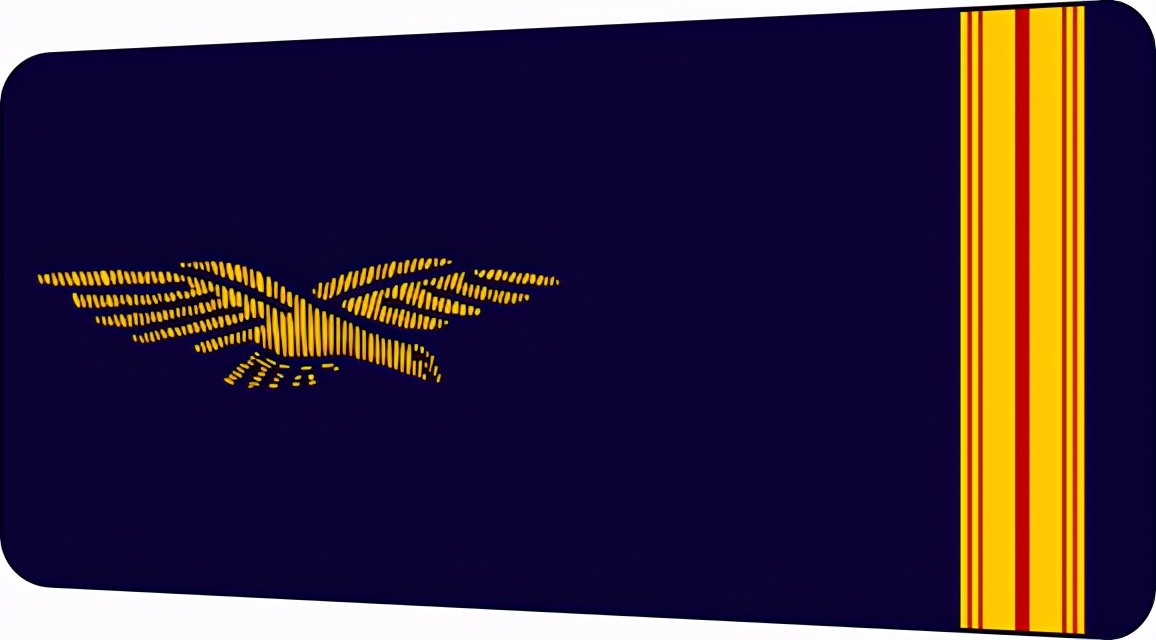 法国将军军衔等级,法国上校是什么军衔