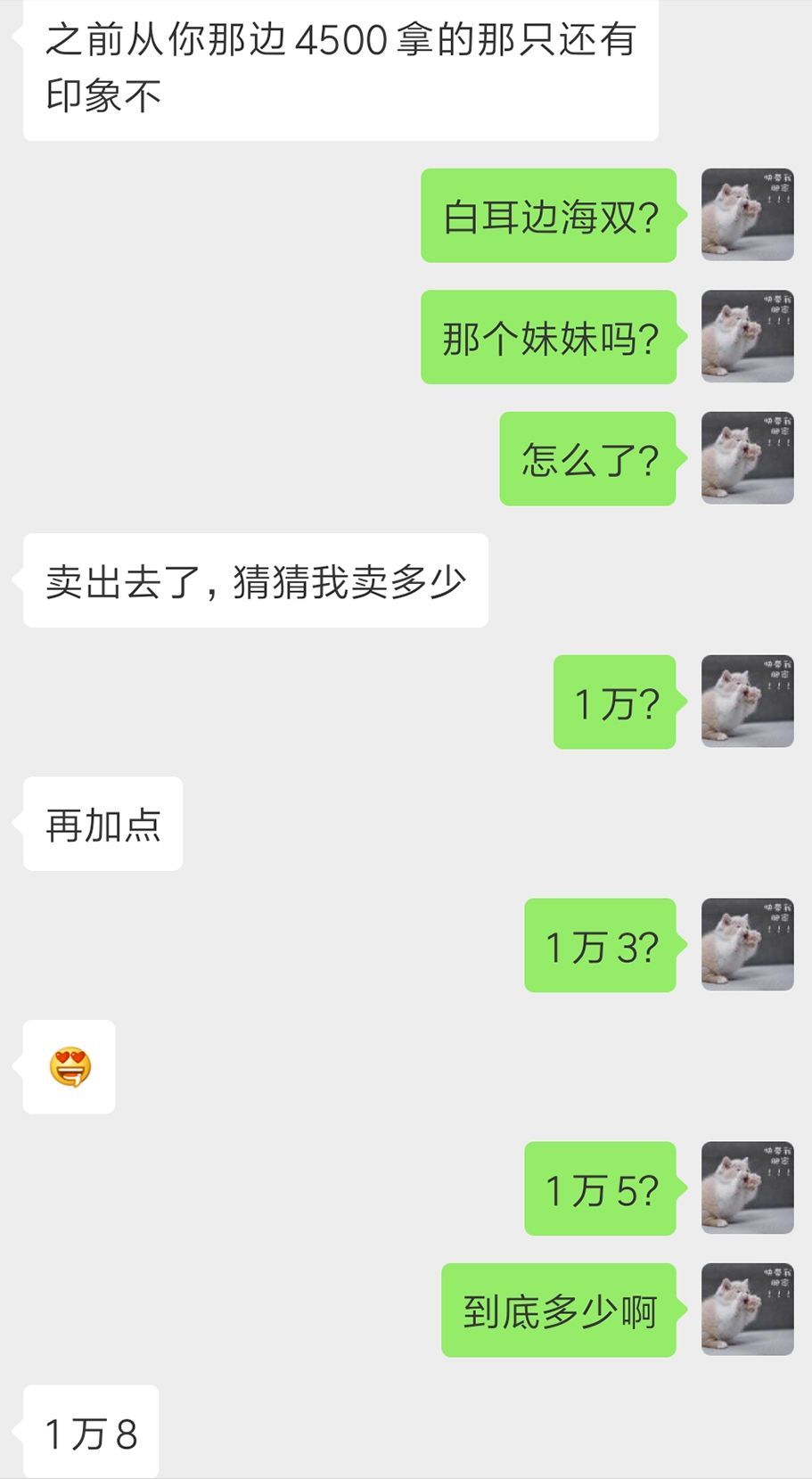 宠物猫行业前景如何,为什么宠物行业利润大