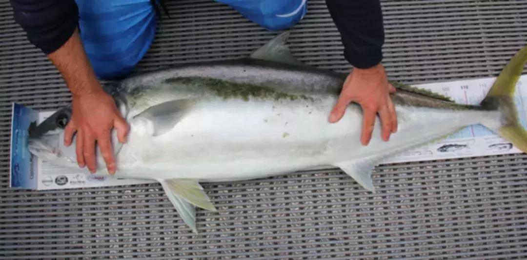 温哥华，超出你期待的钓鱼圣地