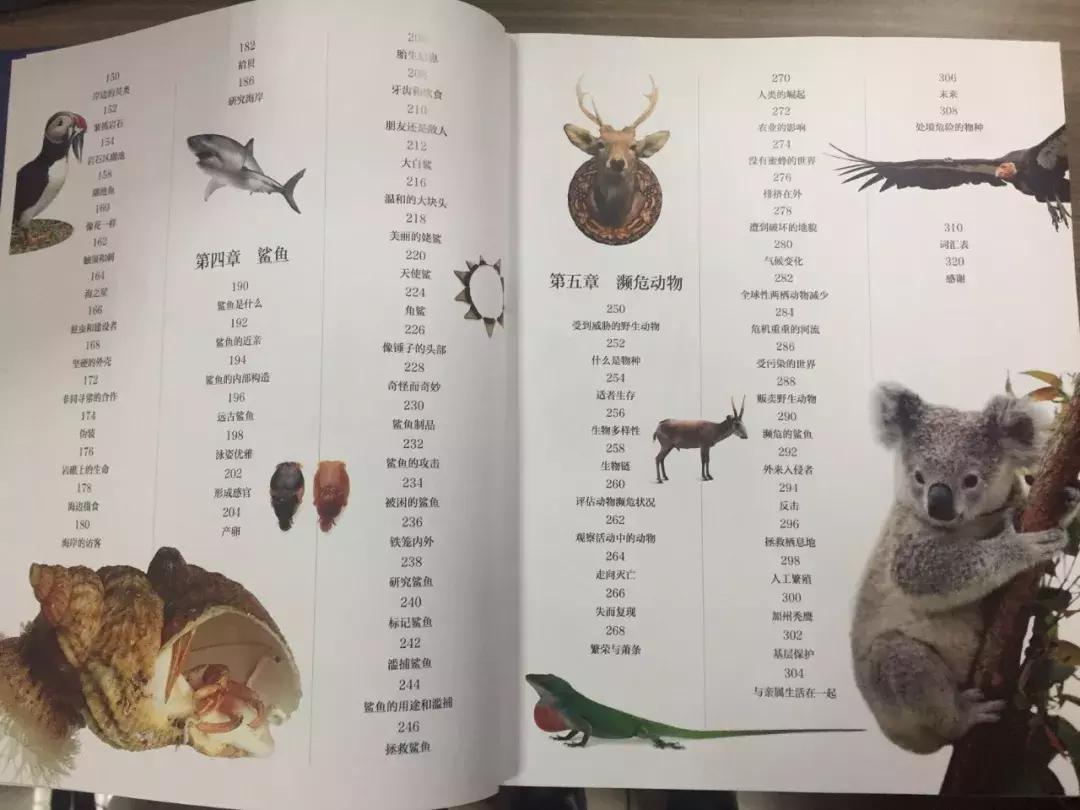 被封神的DK儿童科普书籍，到底哪些值得读？建议家长入手前看这篇