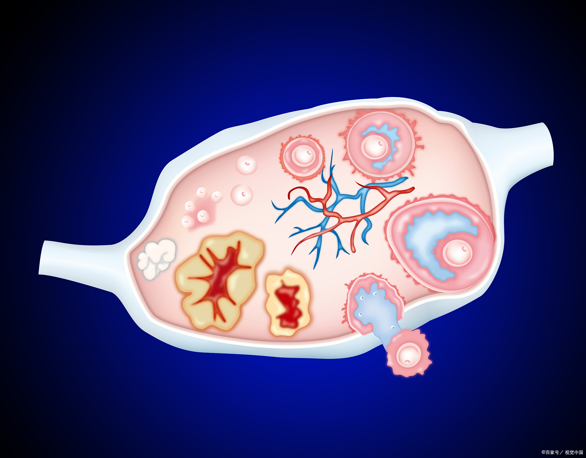 藏医的四大传统医学有哪些,中医学和藏医学