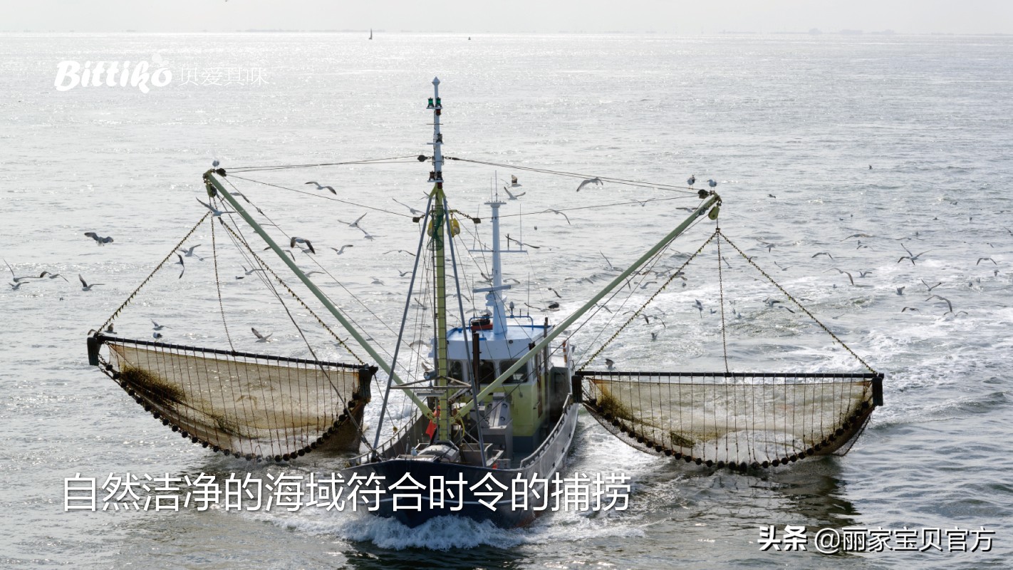 宝宝聪明有“鱼”，脑黄金DHA不流失要这样吃