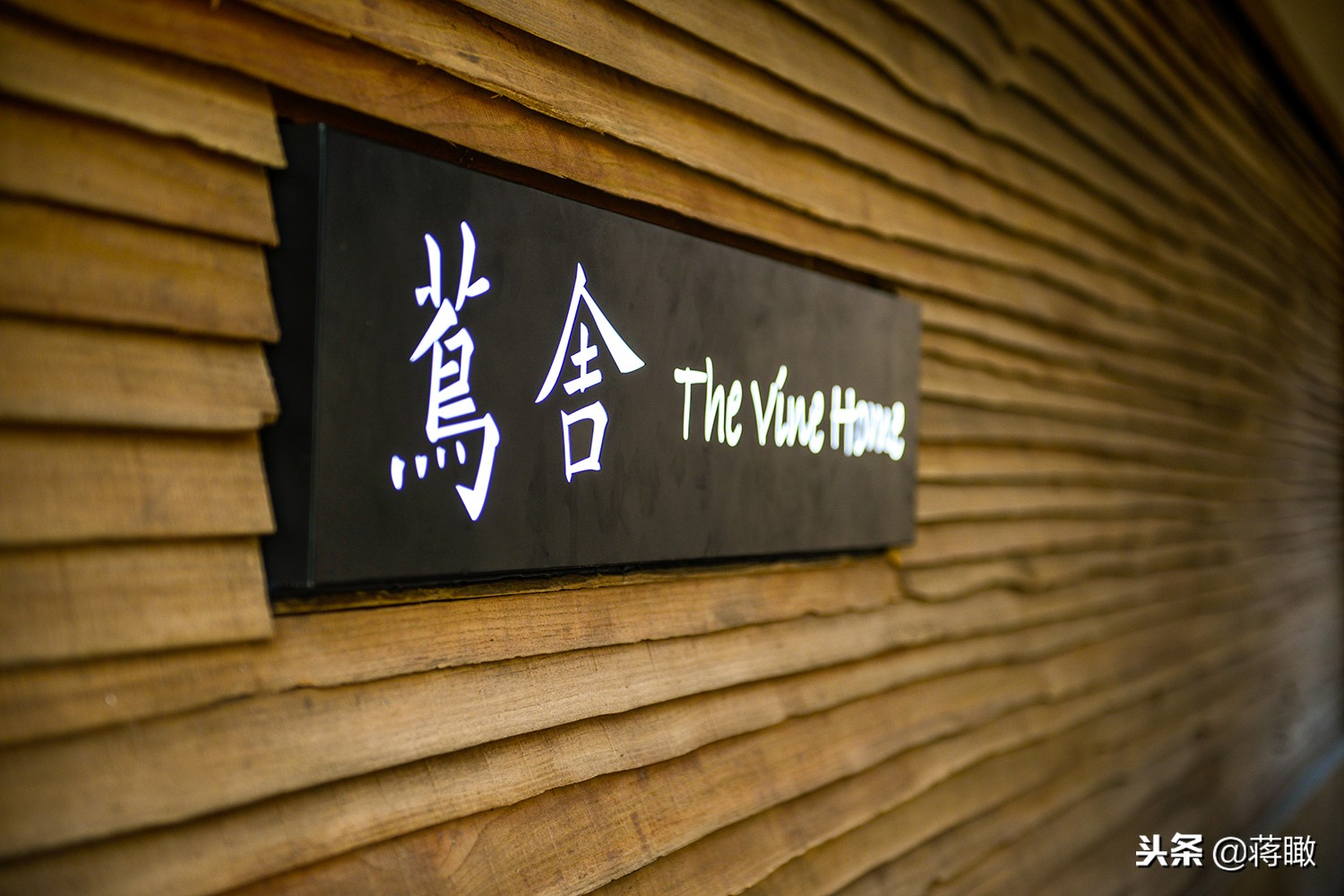 松阳，会是下一个理想国么？